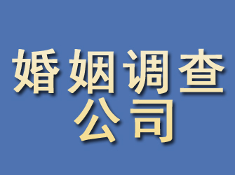 仪陇婚姻调查公司